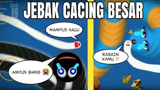 KUMPULAN VIDEO JEBAK CACING BESAR ALASKA | ZONA CACING .IO | WORM ZONE INDONESIA | GAME CACING