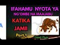 ELIMU YA NYOTA:IFAHAMU NYOTA YA NG'OMBE NA MAAJABU YAKE.part 1