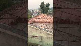 1 Kite looting with Stick🪁Big Kite catching from rooftop|Cutting kite caught on roof #shorts