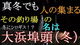 178【釣り】山形県　釣り　酒田市　酒田北港　大浜埠頭　2024年12141日 シロキス　アジ　フグ　Yamagata Prefecture Fishing Sakata City