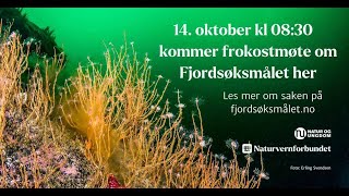 Fjordsøksmålet - frokostmøte på Kulturhuset 14. oktober 2024