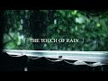 The Touch of Rain ♫ 【SAD PIANO & RAIN】- Music for Studying & Relaxing