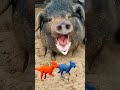 funny pig vfx video #shorts