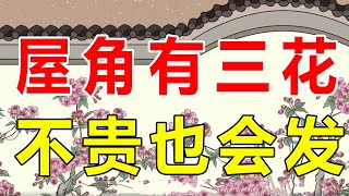 “屋角有三花，不贵也会发”，哪三花能带来富贵？你家有吗【诸子国学】