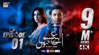 Aye Ishq e Junoon Episode 1 | Ushna Shah | Sheheryar Munawar | 11th Nov 2024 (Eng Sub) | ARY Digital