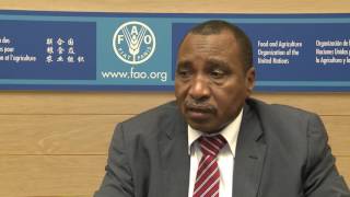 Remarks by Sudan’s Minister of Agriculture and Forestry