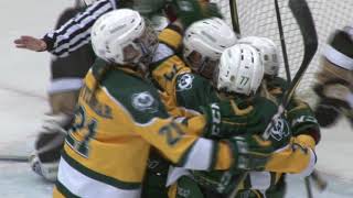 HIGHLIGHTS: Pandas Hockey VS University Of Manitoba Bison - Canada West Finals - Game One