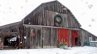 Knox's Family Farm