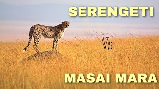 Serengeti Vs Maasai Mara