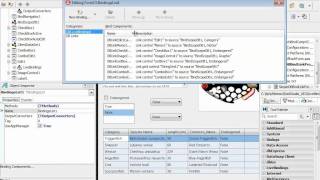 How to Use LiveBindings in your Delphi FireMonkey applications