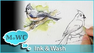 Painting Birds With Line and Wash Watercolor Technique