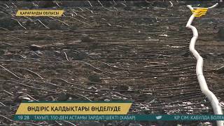 Балқашта шикізат дайындайтын тағы бір кәсіпорын іске қосылды