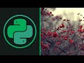 COMMON DJANGO MISTAKES | Python