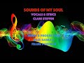 Sounds of My Soul (feat. Clare Steffen, Frank Poelman & Raul Barba)