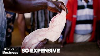 How Chinese Demand For Fish Maw (Swim Bladder) Fuels A $52 Million Industry In Uganda | So Expensive