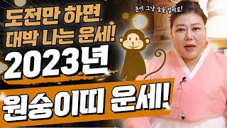 [2023년띠별운세] 2023년 원숭이띠 운세!🐵 뭐든 도전만 하면 그냥 대박 나는 운세??😲 #은평구점집