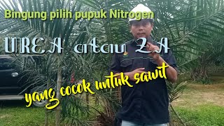 Pupuk Nitrogen UREA VS ZA mana yang lebih bagus ya....untuk sawit