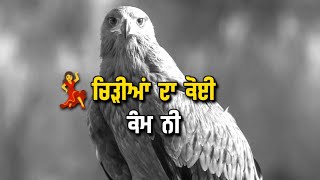 Baaz🔥 | Attitude Punjabi Shayari | Whatsapp Status | New Punjabi Shayari 2022 | Reyman Jatt