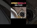 바퀴벌레 유입 경로 배수구 10곳 모음 바퀴벌레퇴치법