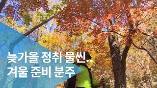 늦가을 정취 물씬..겨울 준비 분주