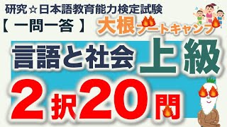 【一問一答・言語と社会 ２択問題 上級】日本語教育能力検定試験 まとめ