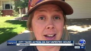 Code enforcement officers find evidence of 'extensive rat infestation' in Lakewood home