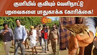 குமரியில் குவியும் வெளிநாட்டு பறவைகளை பாதுகாக்க கோரிக்கை! | #Kanyakumari | #Birds | Sun News