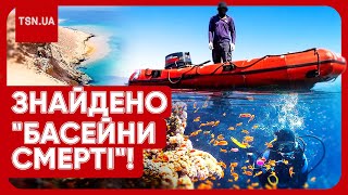 Вчені опустились на дно Червоного моря, а там... Нове жахливе відкриття, що шокує людство!