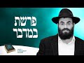 Daily Chumash & Rashi: Bamidbar - Portion 2