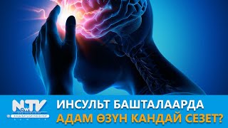 NewTV// Инсульт башталаарда адам өзүн кандай сезет? // Дабагер