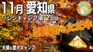 【紅葉キャンプ】トイプードル2匹と夫婦で秋のゾレンキャンプ場へ｜ベルテント泊【愛知・豊田市】