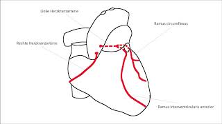 EKG verstehen; Schenkelblock, Herzinfarkt (EKG Crashkurs Teil 2)