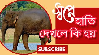 স্বপ্নে হাতি দেখলে কি হয়। স্বপ্নে হাতির পিঠে চলতে দেখলে কি হয়।Sopne Hati dekhle ki hay.@ajkersopno