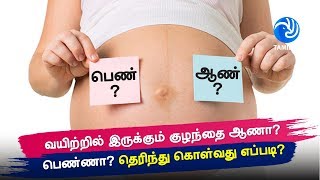 வயிற்றில் இருக்கும் குழந்தை ஆணா? பெண்ணா? தெரிந்து கொள்வது எப்படி? - Tamil TV