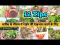 🌱 Monsoon Gardening tips | 12 tips for plant care in monsoon  | मानसून में पौधों की देखभाल