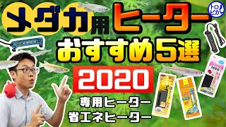 【2020年冬】メダカ用ヒーターおすすめ5選！メダカには省エネヒーターを使うべし