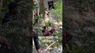 সম্ভবত আমরাই শেষ জেনারেশন