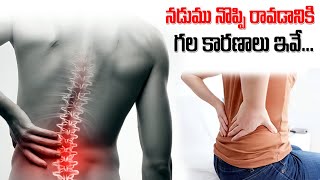 నడుము నొప్పి ఎందుకొస్తుంది | Dr CL Venkat Rao Health Tips | iDream