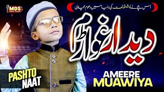 New Pashto Naat  - Didaar Ghwarram - By Ameere Muawiya امیر معاویہ @MdsRecordsIslamic #new