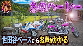 あのハーレー、ついに世田谷ベースからお声がかかる【激レア・カスタムバイク連発】