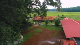 Temple visit  😇അമ്പല ദർശനം