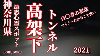 【心霊LIVE動画 閲覧注意】 神奈川県最恐心霊スポット 高架下トンネル