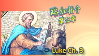 路加福音  第三章 Luke 一日一章聖經 49 Luke03 #路加福音 #廣東話天主教中文聖經 #cantonesebible #audiobible #靈修生活水泉耶穌基督