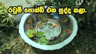 රවුම් පොන්ඩ් එක සුද්ද කළා. | How I Clean My Round Pond.