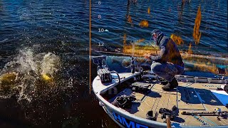 Murray cod Fishing CHANGES so QUICKLY in Copeton