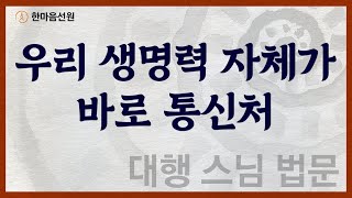 대행 스님 법문_우리 생명력 자체가 바로 통신처 #길을_묻는_이에게