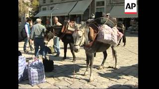 Donkey numbers are dwindling in Greece