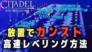 忙しいけどすぐ建築したい方必見！放置レベリング方法【CITADEL】【シタデル-PS4Pro-4K-高画質-白瀬GOLD】