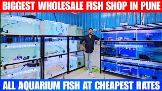 Biggest Wholesale Fish Shop In Pune | All Aquarium Fish At Cheapest Rates | Tropical Aquatics