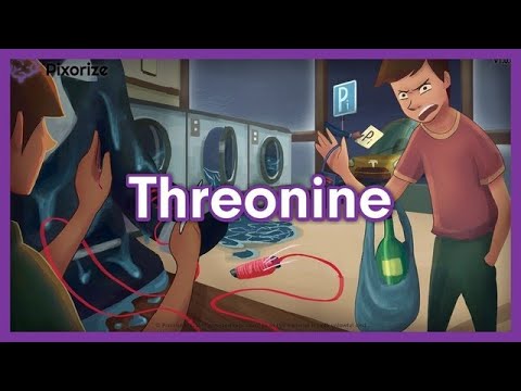 What is the function of threonine?